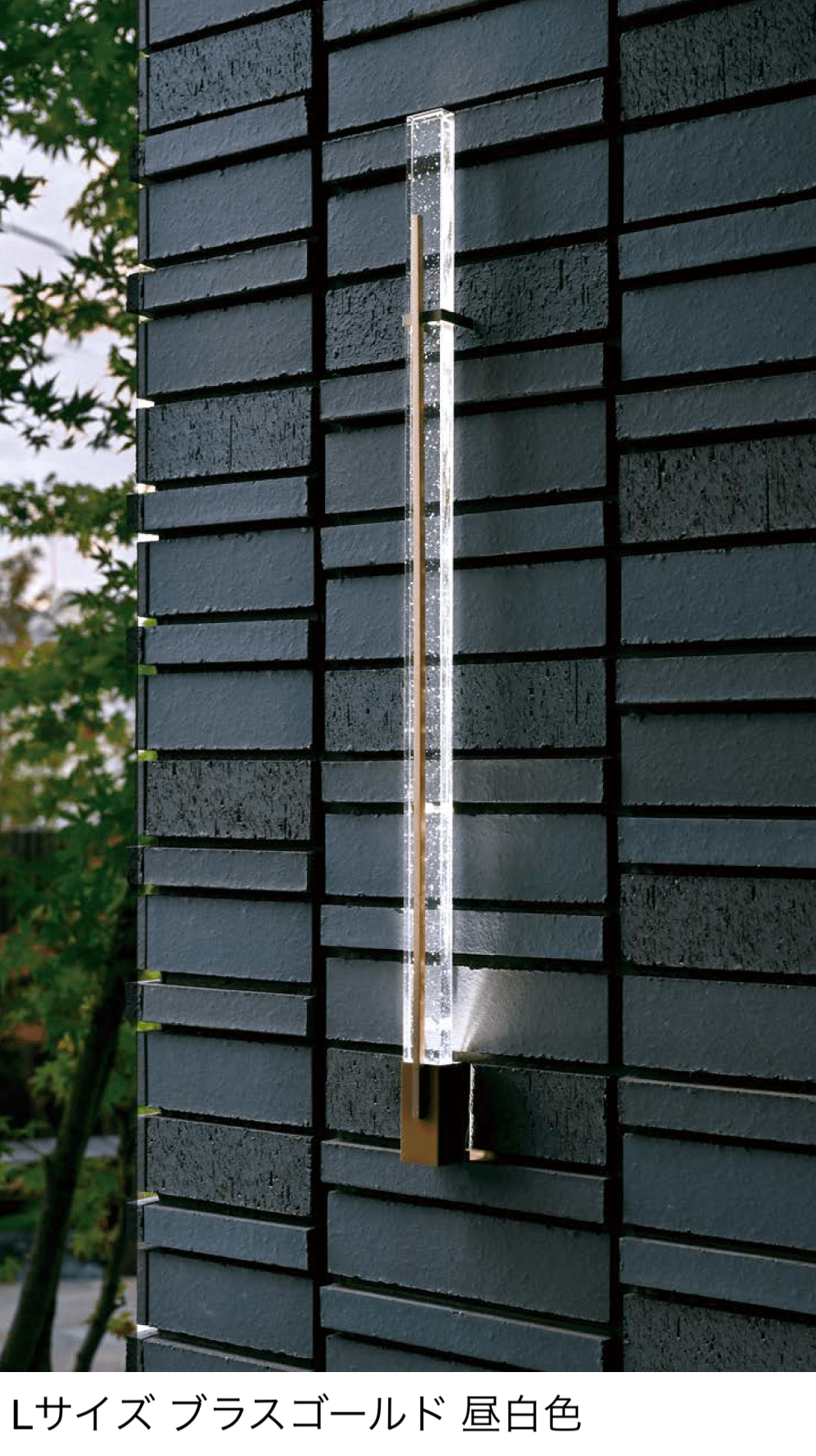 オンリーワンクラブの「ルミナス ライン」