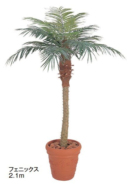 タカショーの「大型人工樹【2024年版】」のサブ画像5