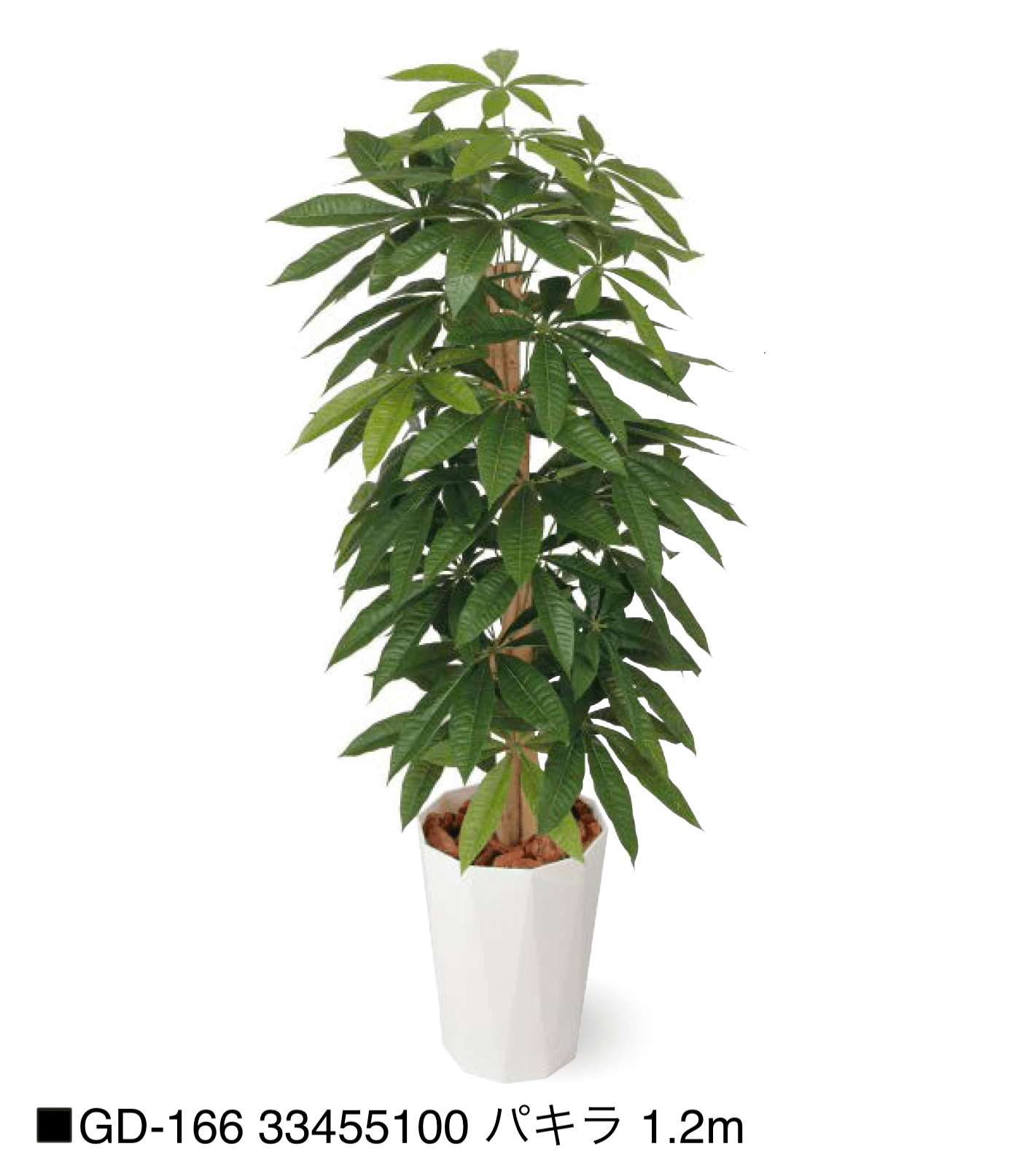 タカショーの「観葉植物【2025年版】」のサブ画像17