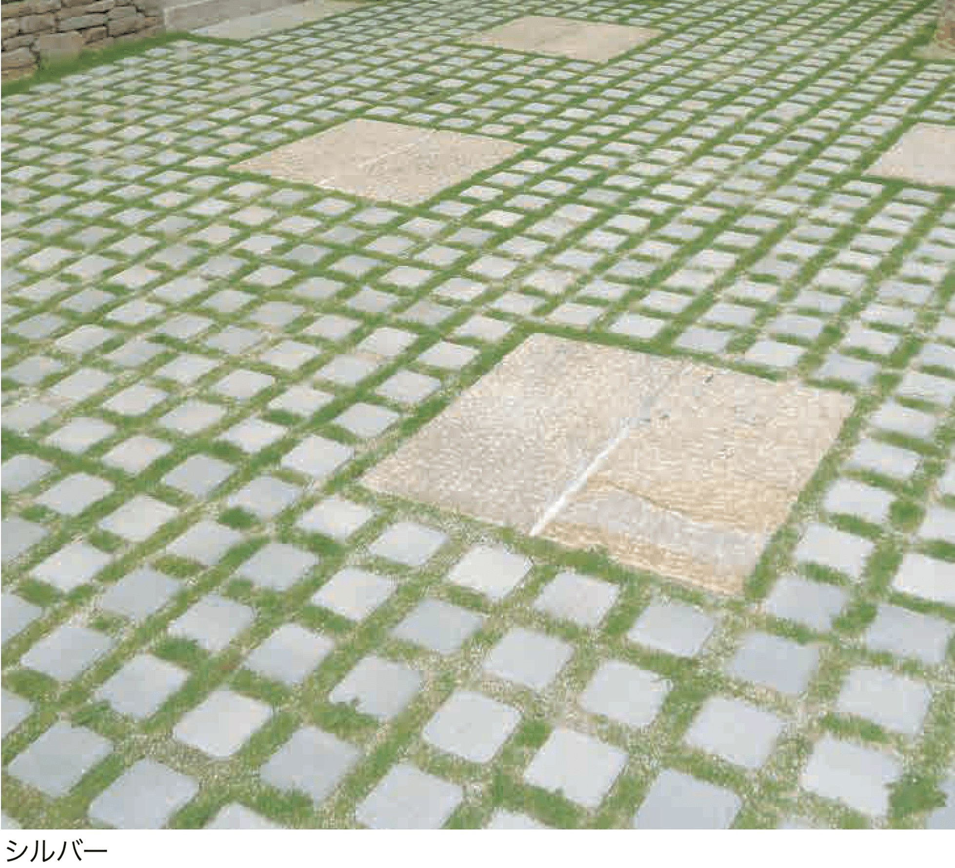 エスビックの「オールラウンドペイブ・グラスハーフ」のサブ画像2