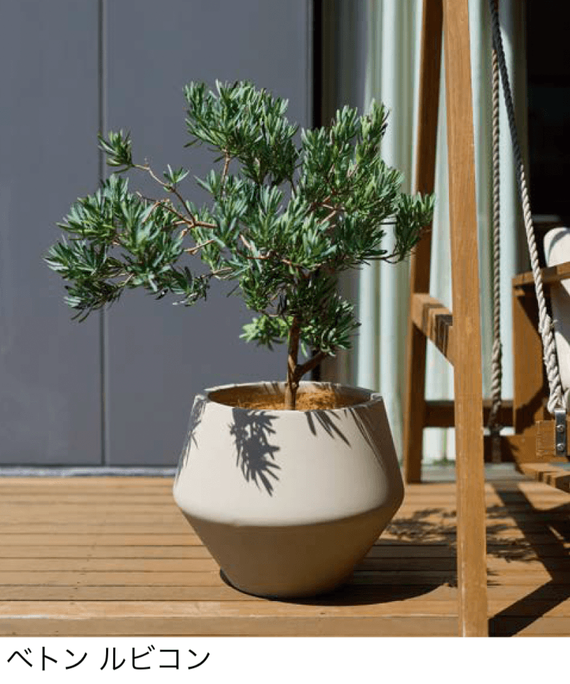 オンリーワンクラブの「ベトン」のサブ画像1