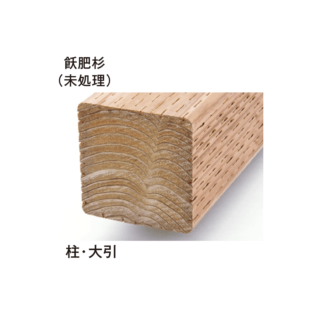 メイクランドの「飫肥杉(おびすぎ)」のサブ画像4