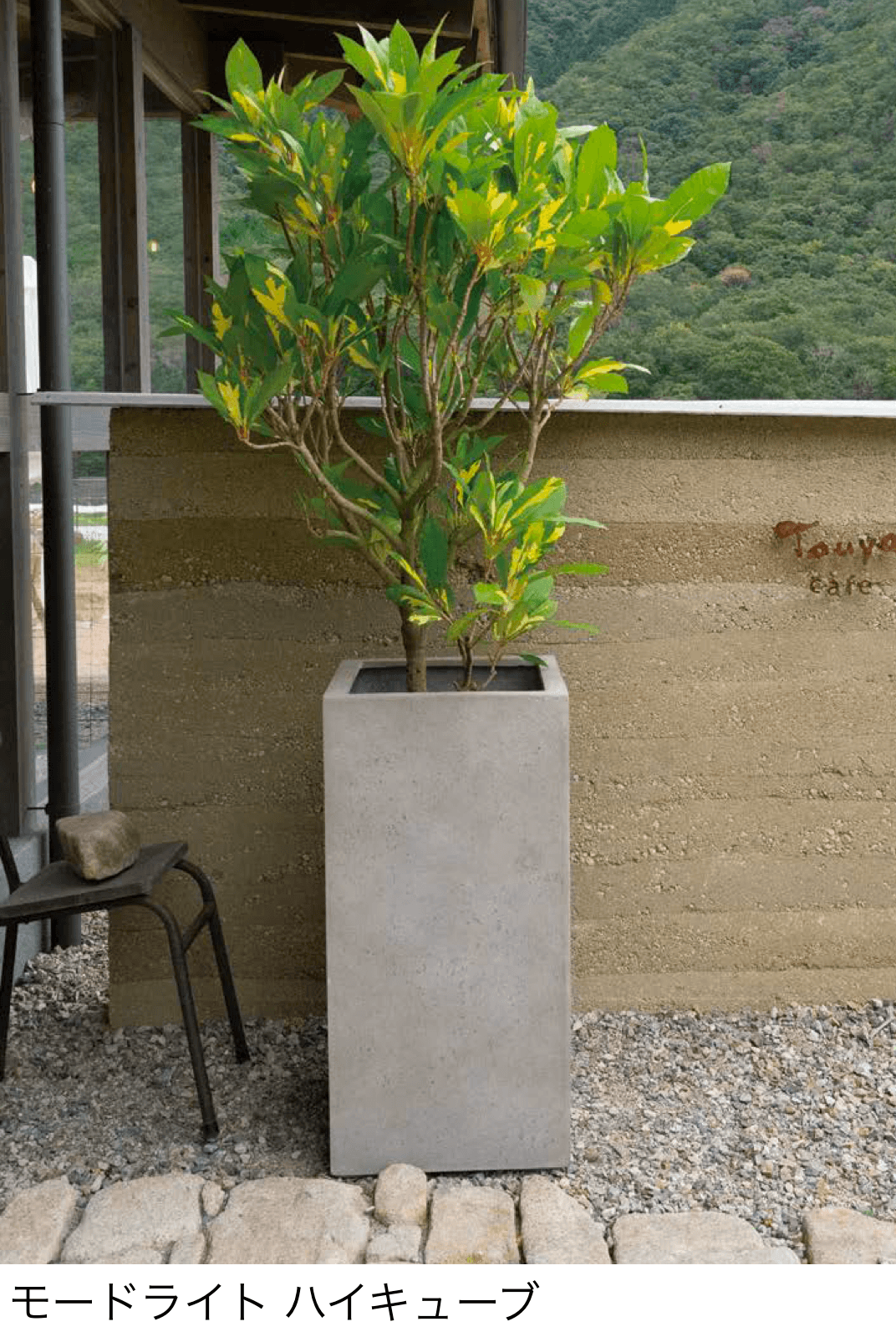 オンリーワンクラブの「モードライト」