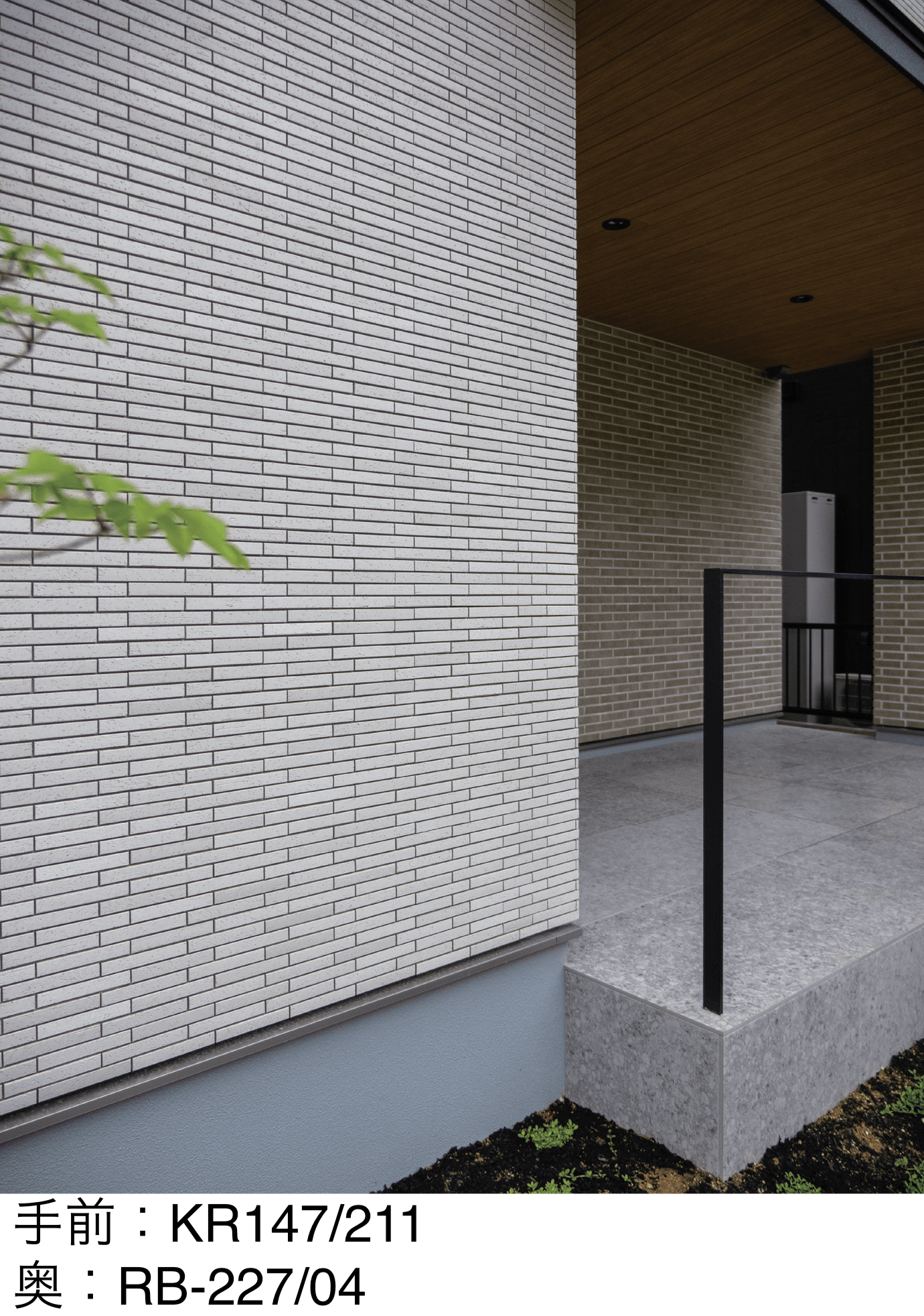 アイコットリョーワの「ケール」