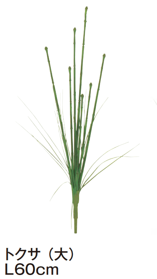 タカショーの「グランドカバー 下草【2024年版】」のサブ画像14