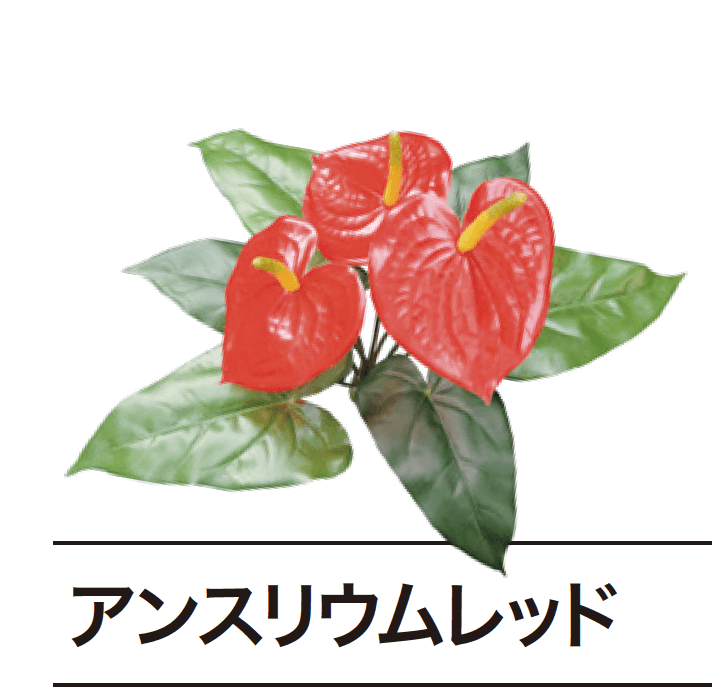 ゆとりの「ぴたっとグリーン【2024年版】」のサブ画像15
