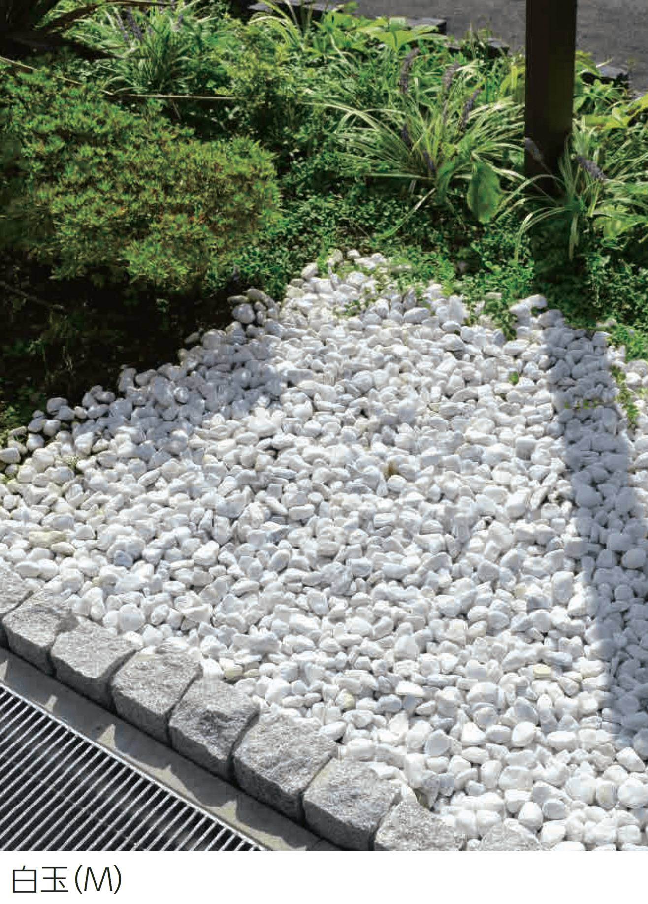 エスビックの「ペブルM/ペブルS」