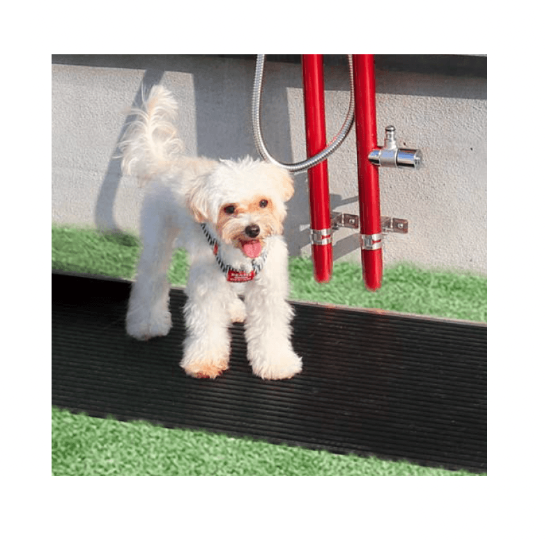 オンリーワンクラブの「バーチェ」のサブ画像3