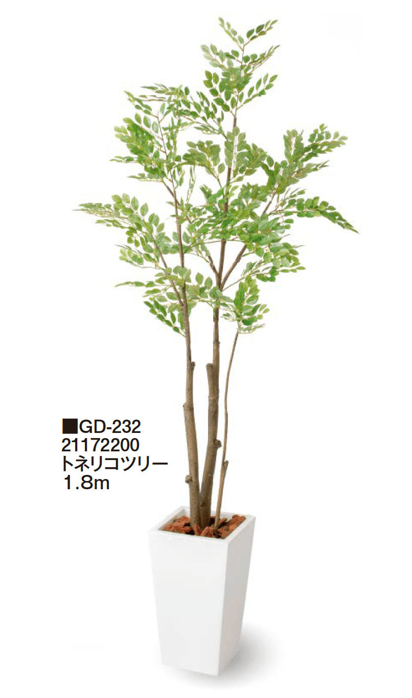 タカショーの「観葉植物【2024年版】」のサブ画像7