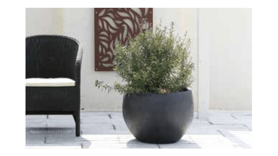 ゆとりの「ガーデンポット コカブ」