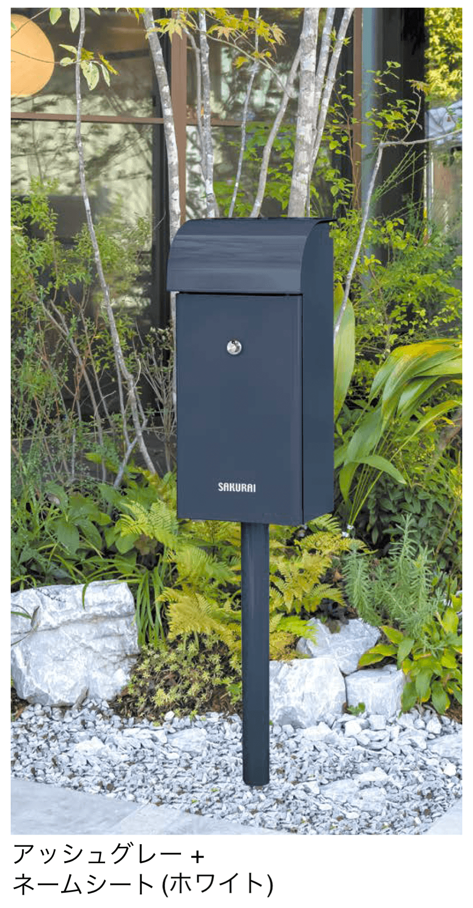 オンリーワンクラブの「フィールⅡ」のサブ画像7