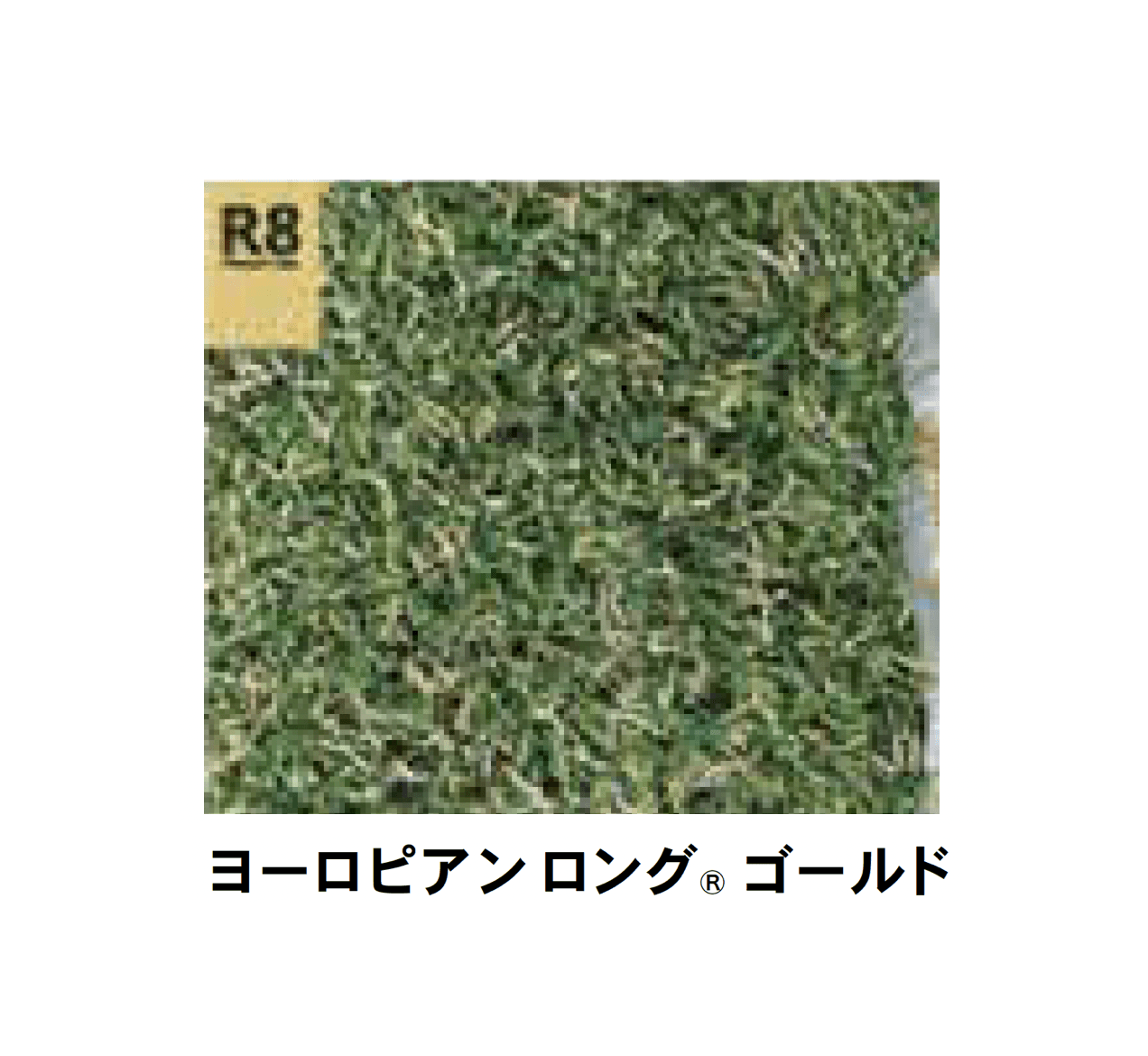 Bullsの「ブルズターフR8 <プレミアムクラス>」