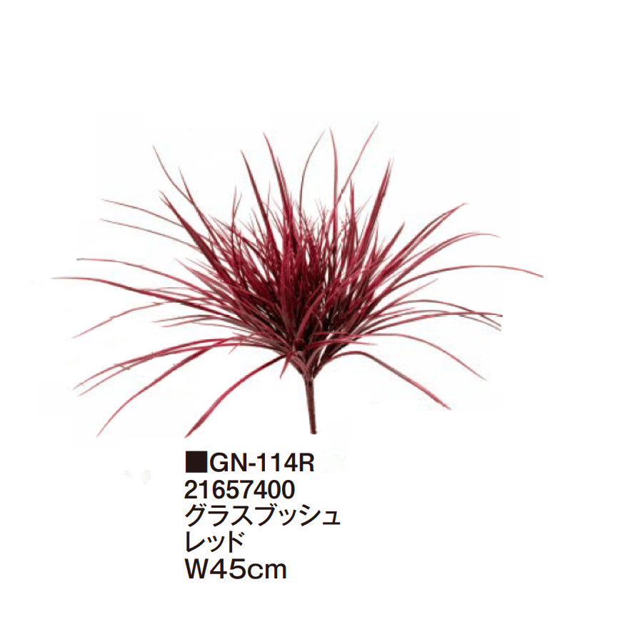 タカショーの「グランドカバー 下草【2025年版】」のサブ画像9