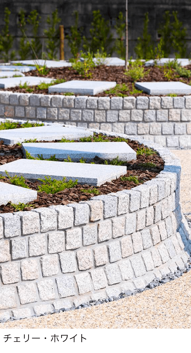 エクシスランドの「ピンコロ【2025年版】」のサブ画像1