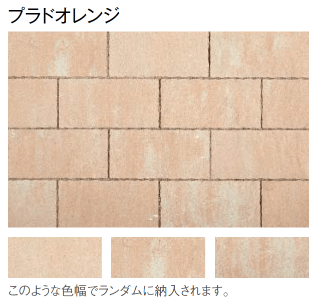 東洋工業の「プラーガブリック」のサブ画像6