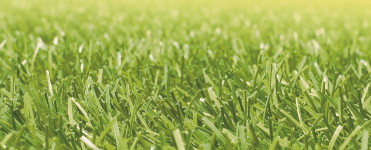 ゆとりの「耐熱性人工芝【2024年版】」