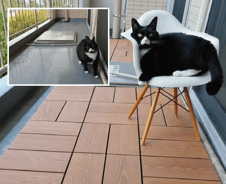 MINOの「彩木スナップデッキ SD」のサブ画像5