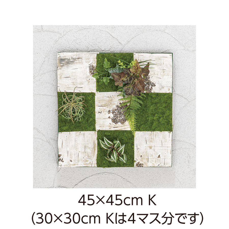 タカショーの「壁面アレンジ【2025年版】」のサブ画像12