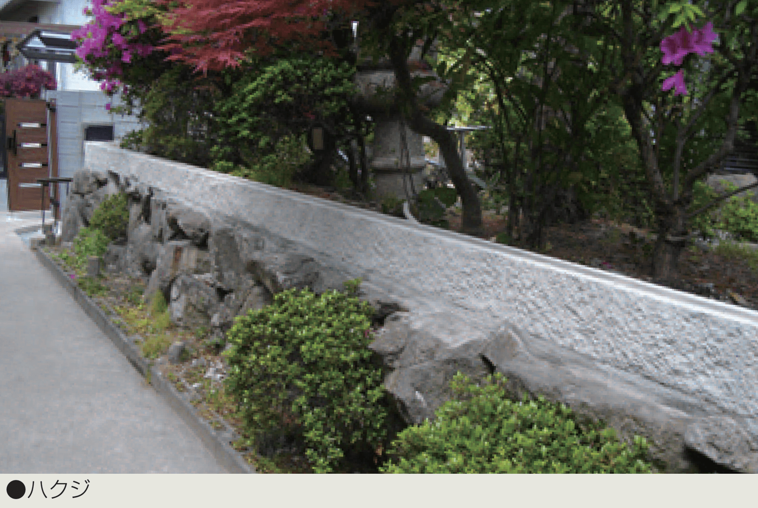 マツオコーポレーションの「レイワール」のサブ画像1