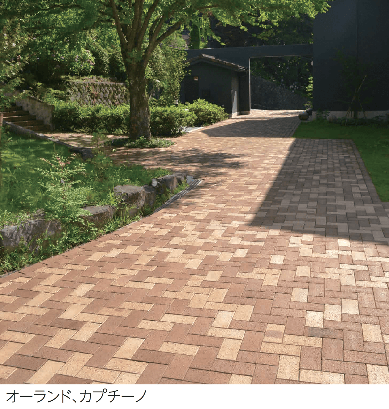 エスビックの「ロイヤルパイン・ペイバー」