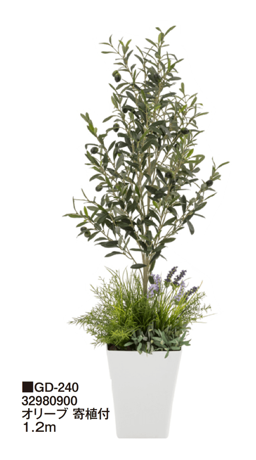 タカショーの「観葉植物【2024年版】」のサブ画像19