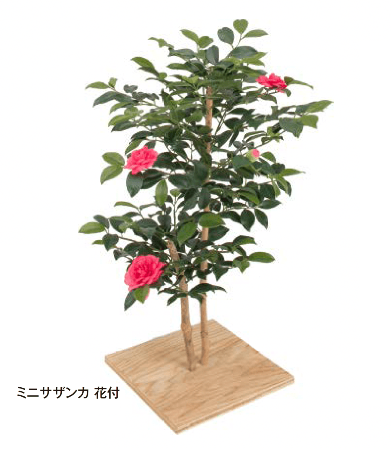 タカショーの「板付」のサブ画像3