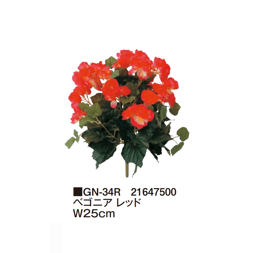 タカショーの「グランドカバー 下草【2025年版】」のサブ画像5