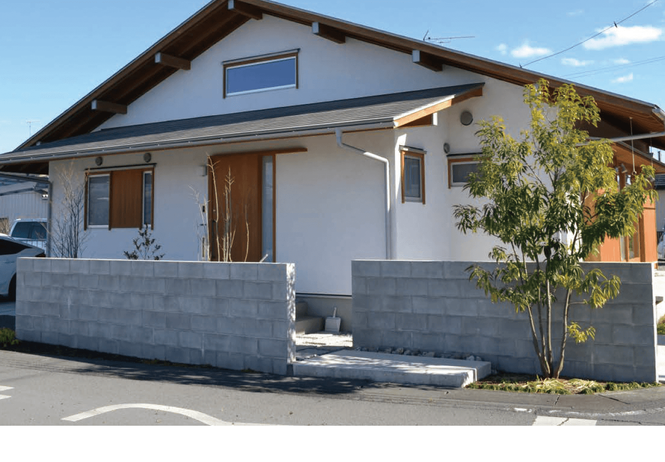 エスビックの「素地ブロック【2024年版】」