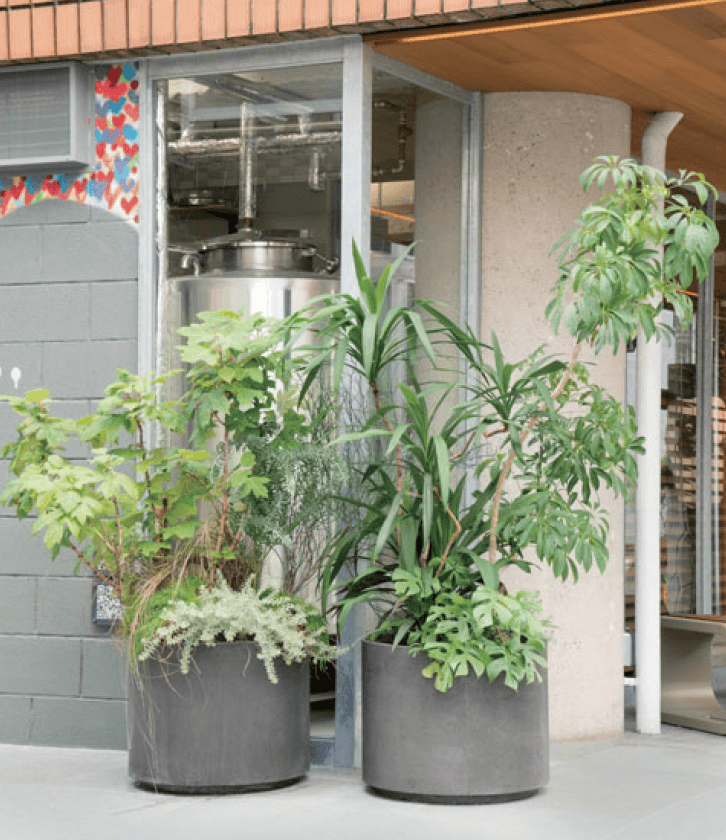 マチダコーポレーションの「ラスティックプランター」