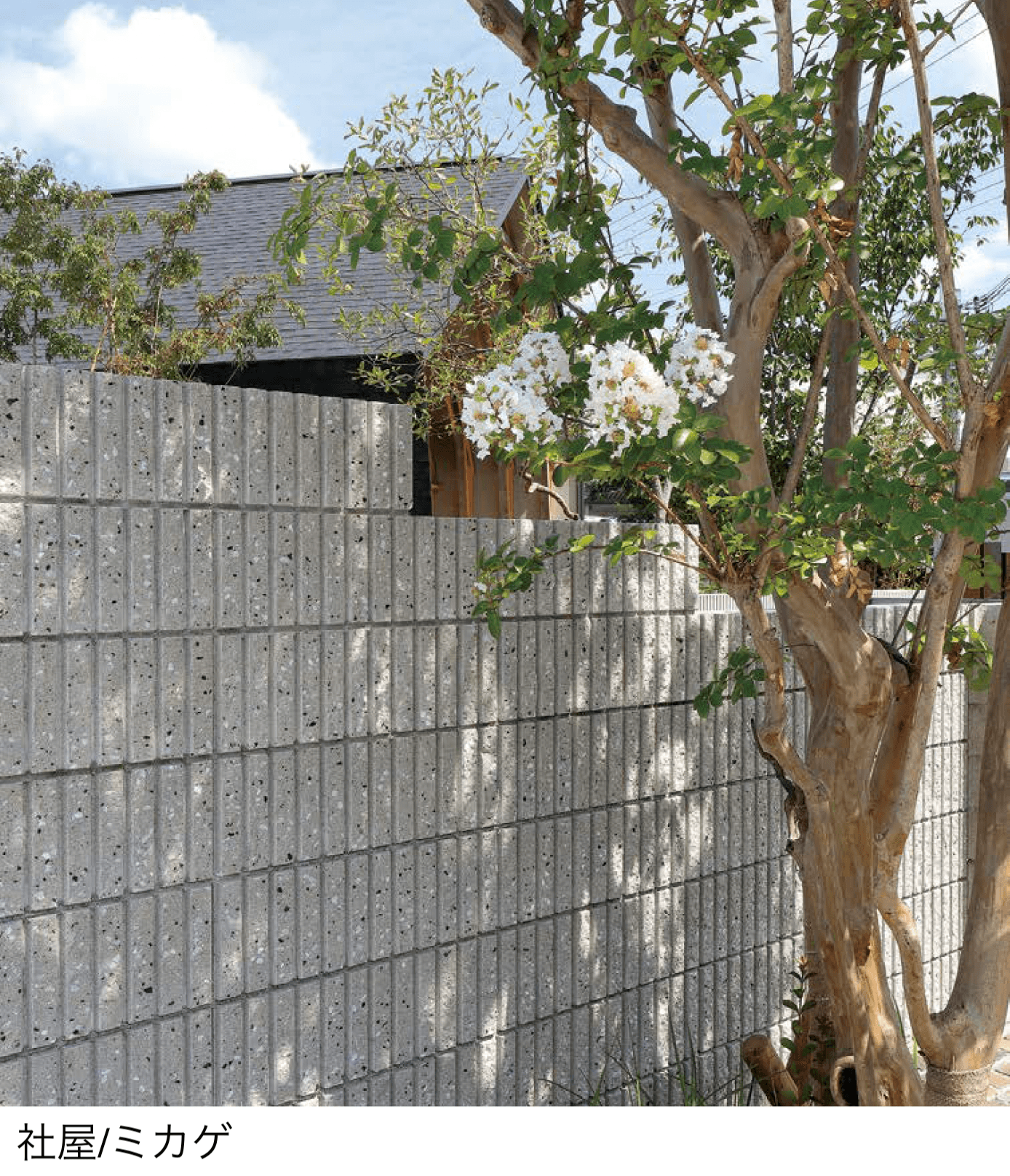 ユニソンの「リブスプリット®︎n【近畿/中国・四国】」