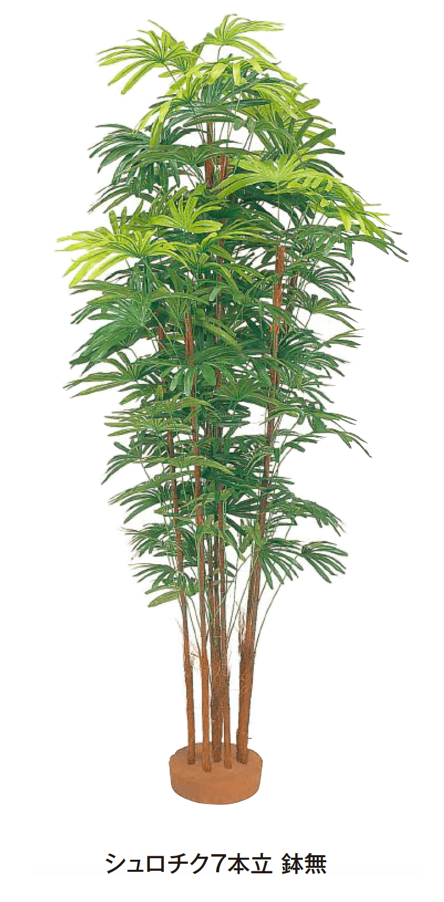 タカショーの「シュロチク【2025年版】」のサブ画像1