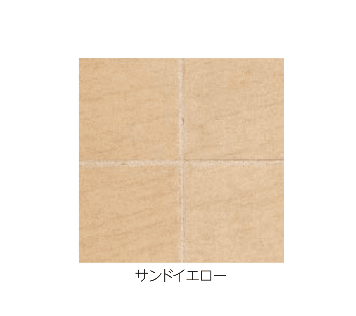 エスビックの「アクシア・カロ」のサブ画像6