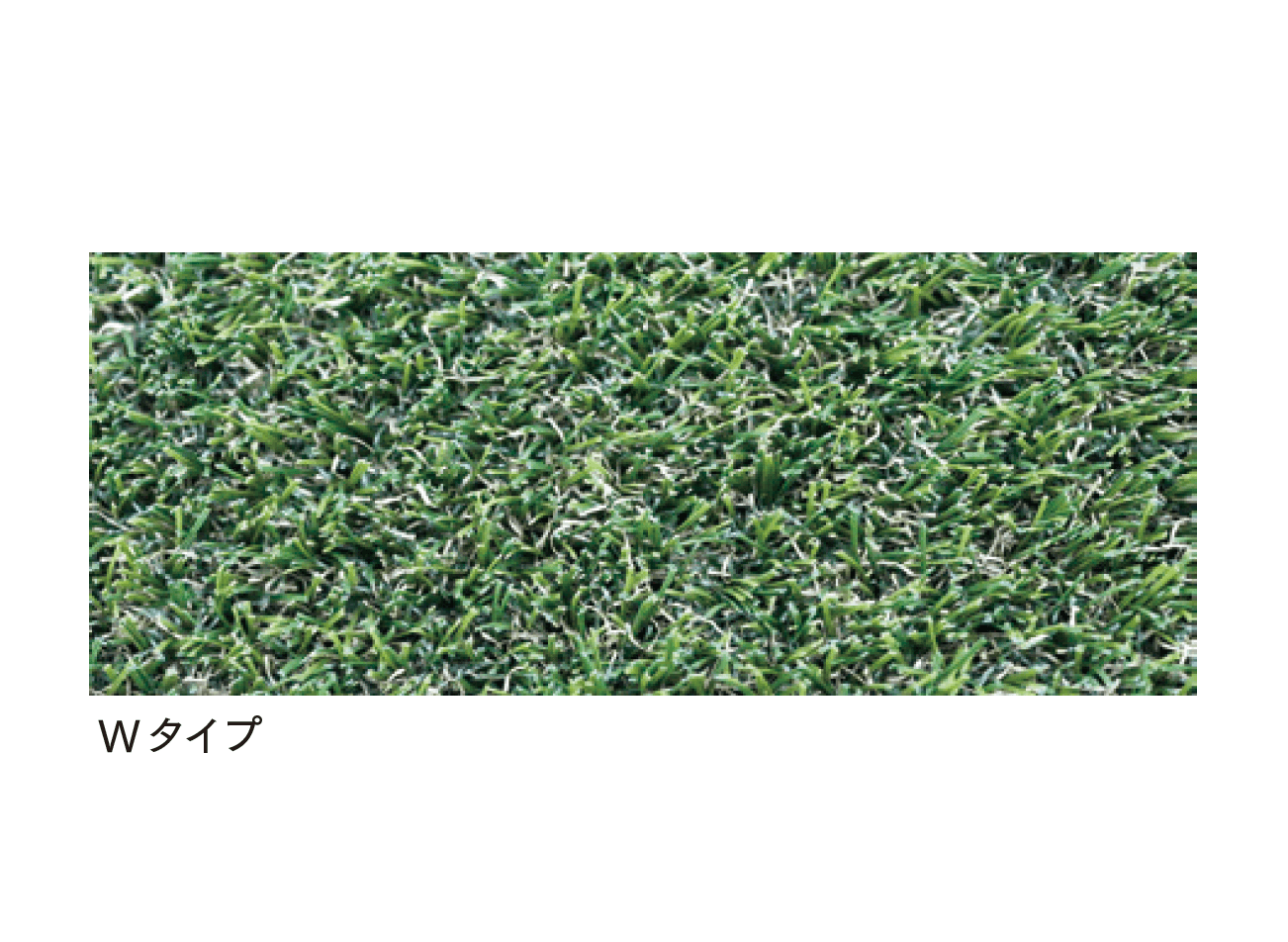 マチダコーポレーションの「クローバーターフ」のサブ画像2