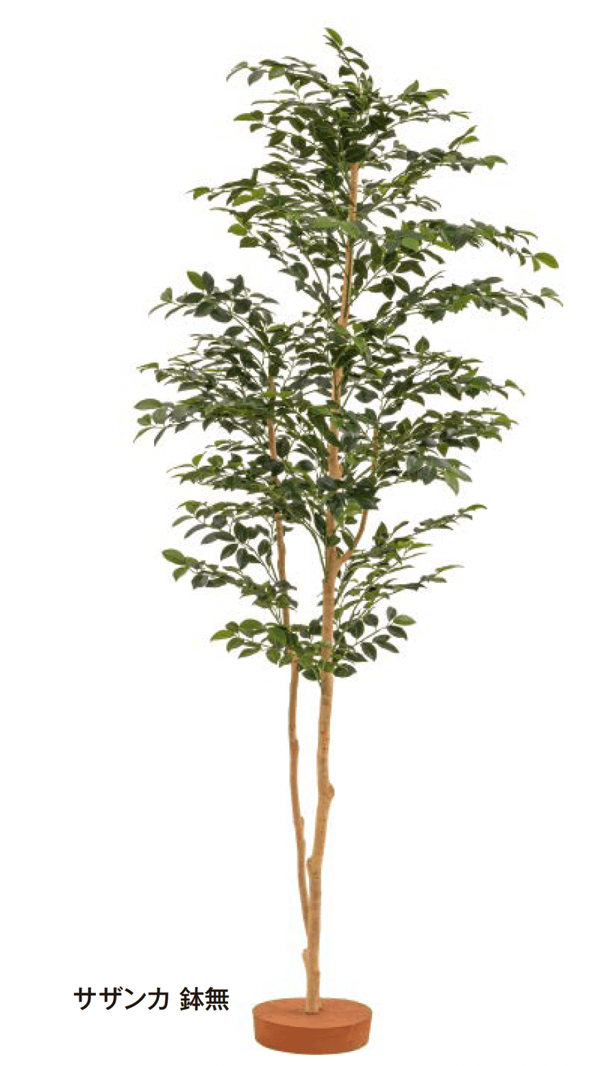 タカショーの「和風観葉植物」のサブ画像4