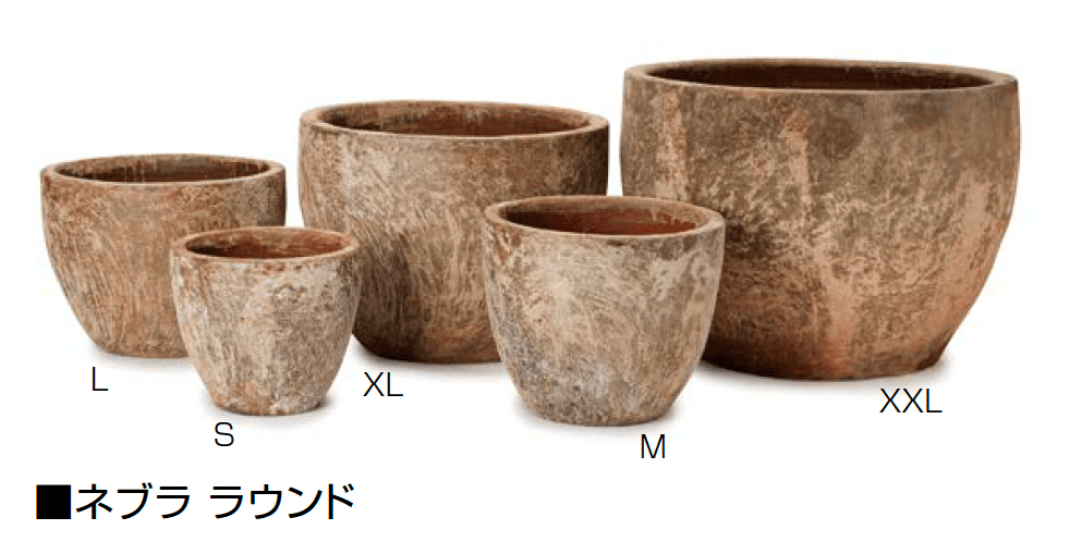 オンリーワンクラブの「ネブラ」のサブ画像5