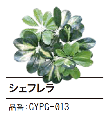 ゆとりの「ぴたっとグリーン【2023年版】」のサブ画像10