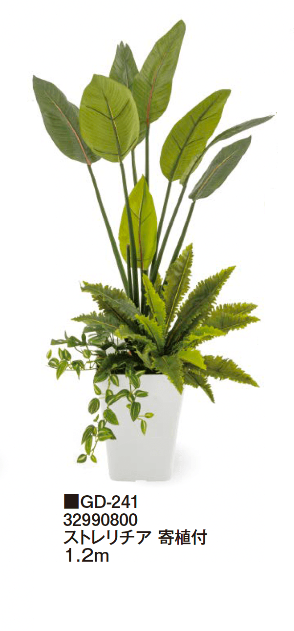 タカショーの「観葉植物【2024年版】」のサブ画像18