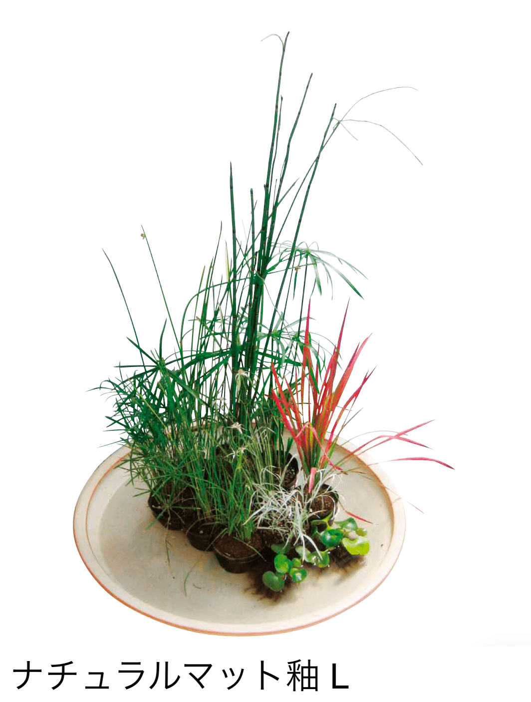 オンリーワンクラブの「大型水鉢」のサブ画像1