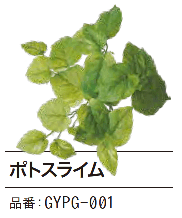 ゆとりの「ぴたっとグリーン【2023年版】」のサブ画像2