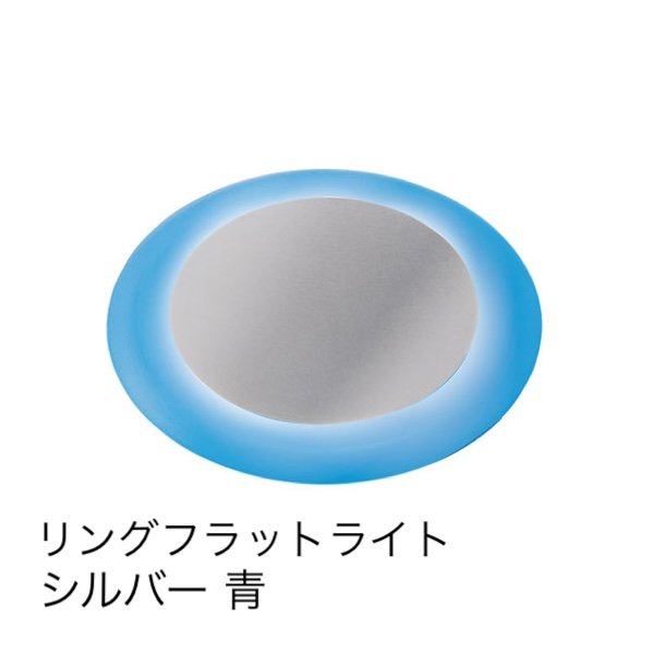 タカショーの「フラットライト フロストタイプ 地中埋込用」のサブ画像2