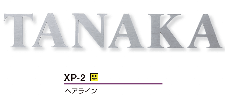 美濃クラフトの「プリモ ステンレス切文字表札」のサブ画像8