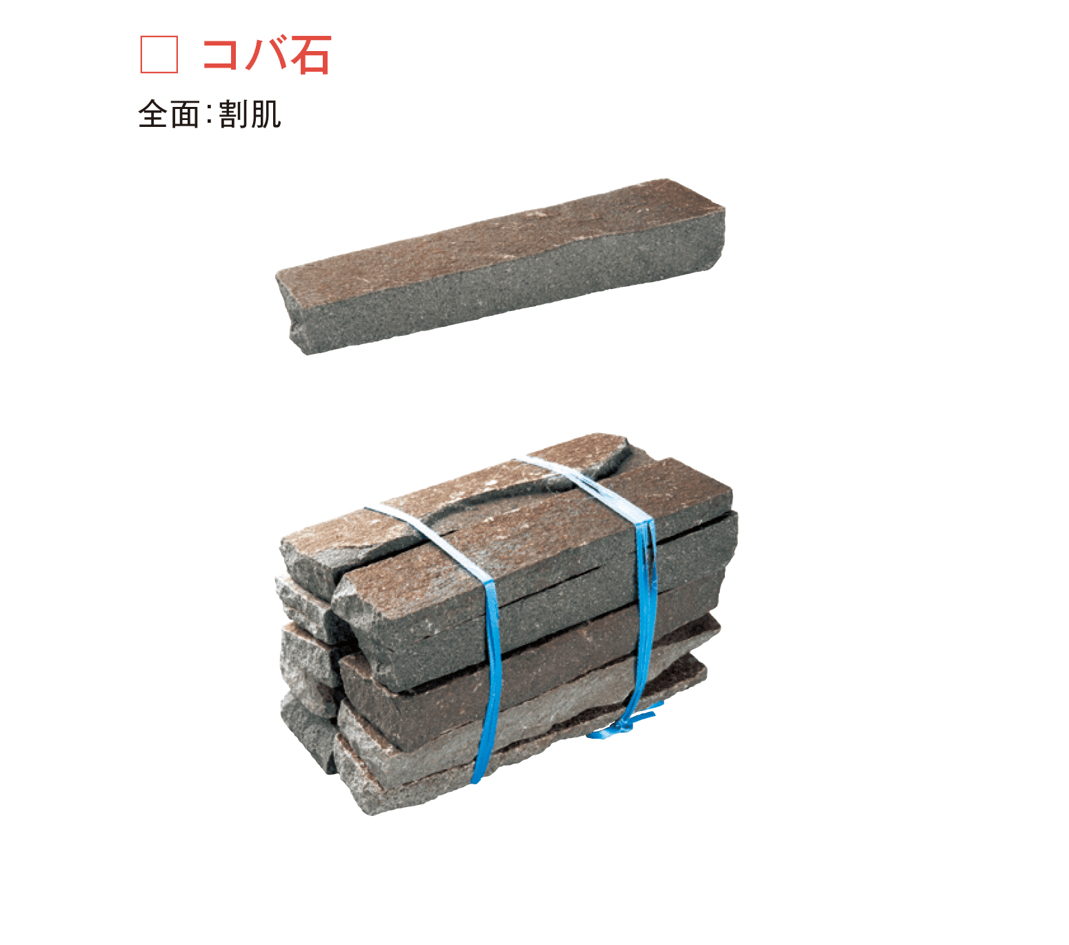 メイクランドの「ジャワ鉄平」