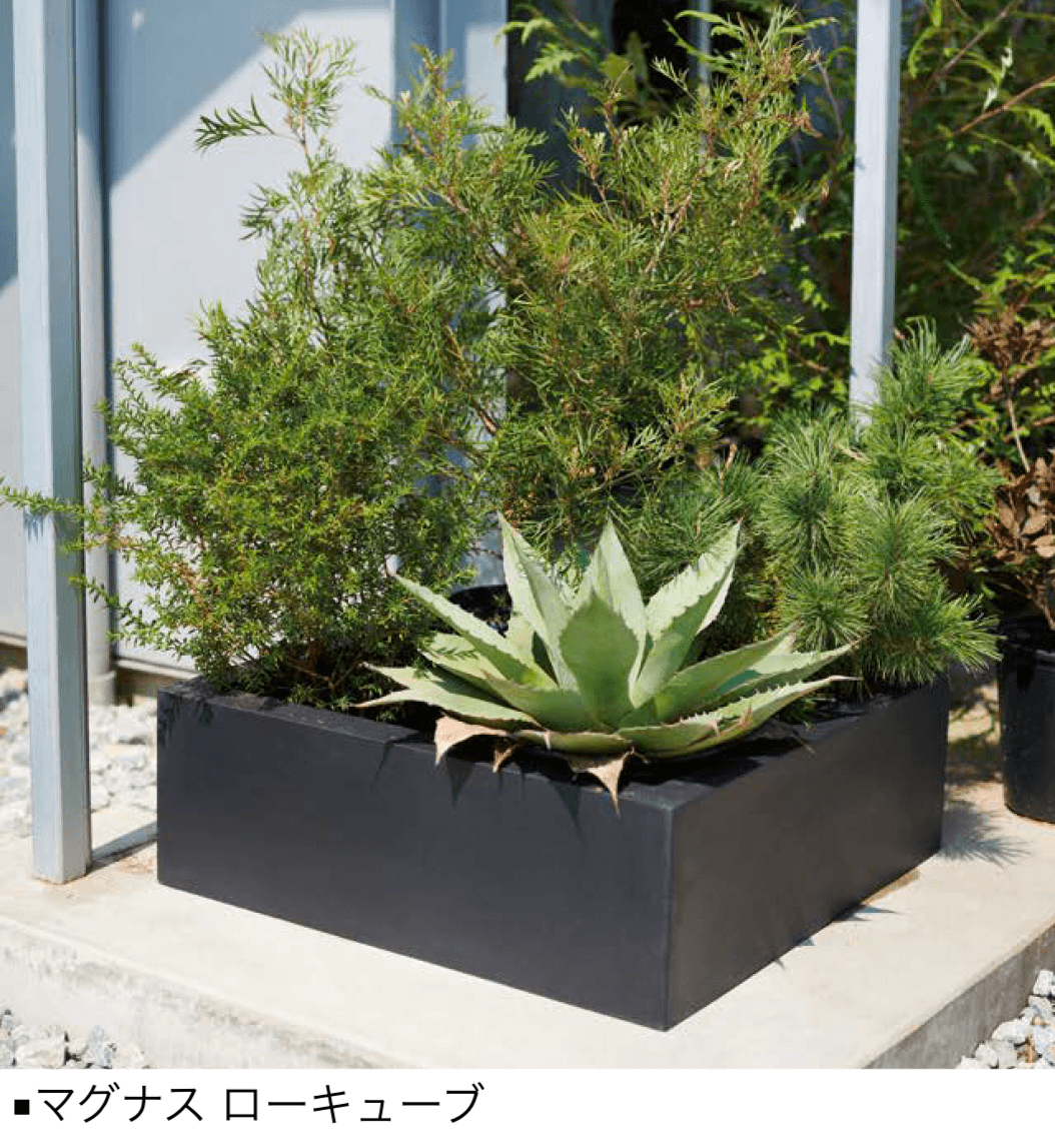 オンリーワンクラブの「マグナス」のサブ画像2