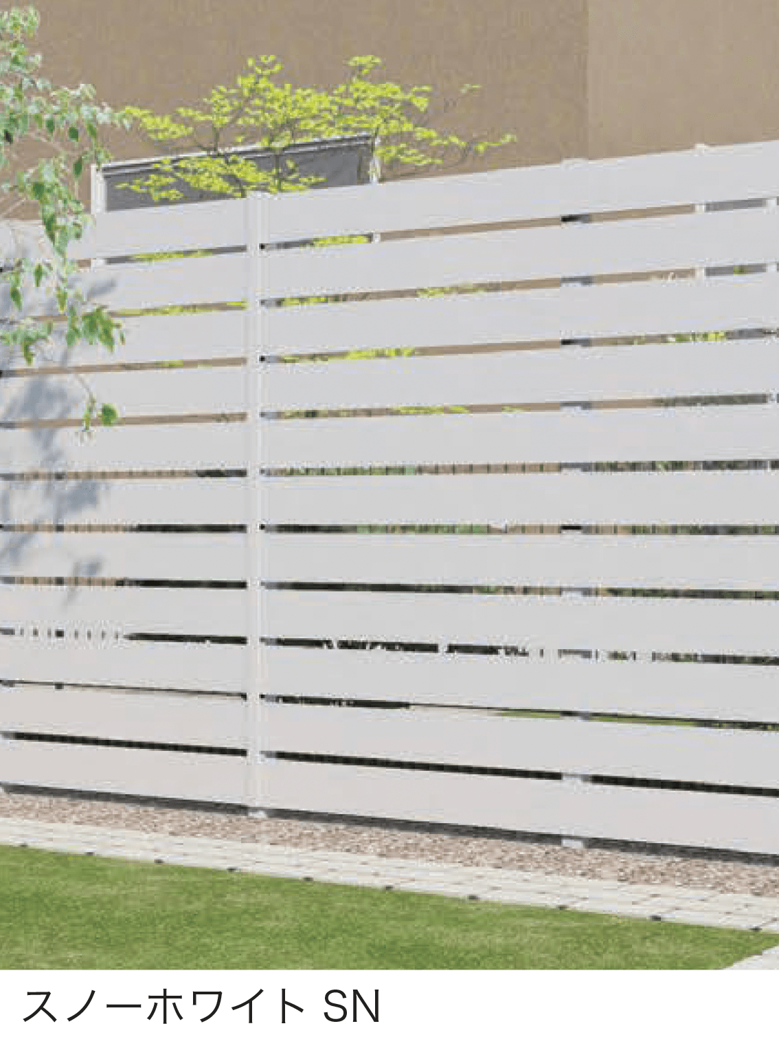 F&Fの「マイディウッド プレミアム」のサブ画像5