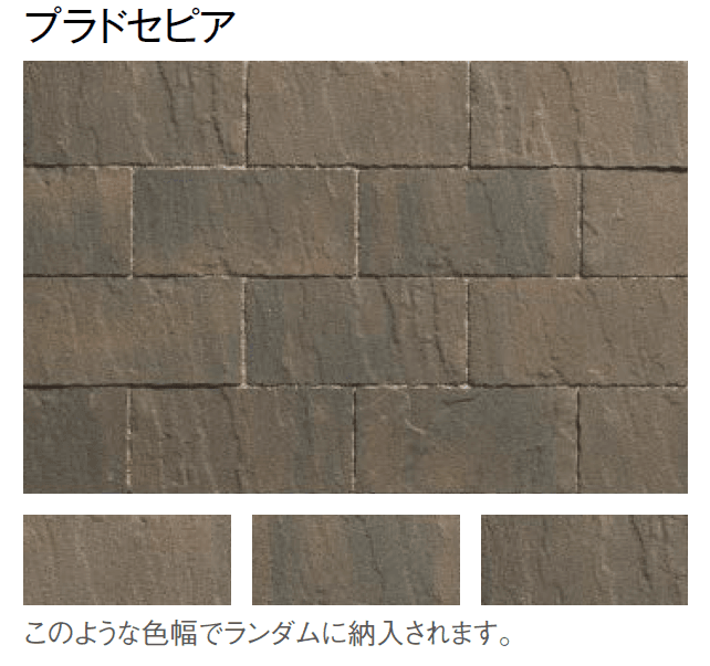 東洋工業の「プラーガブリック」のサブ画像7