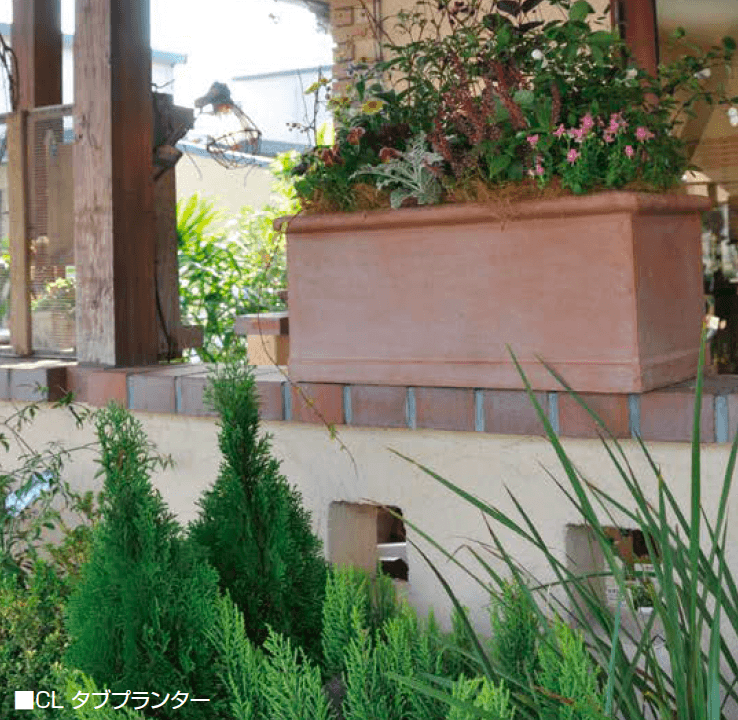 オンリーワンクラブの「コットライト」