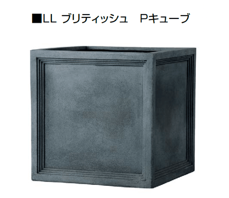 オンリーワンクラブの「リードライト」のサブ画像2