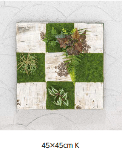 タカショーの「壁面アレンジ【2024年版】」のサブ画像11