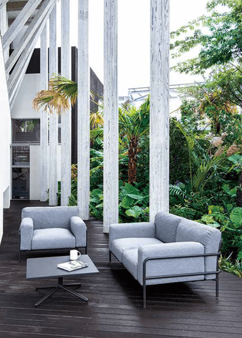 ゆとりの「マイオリ」