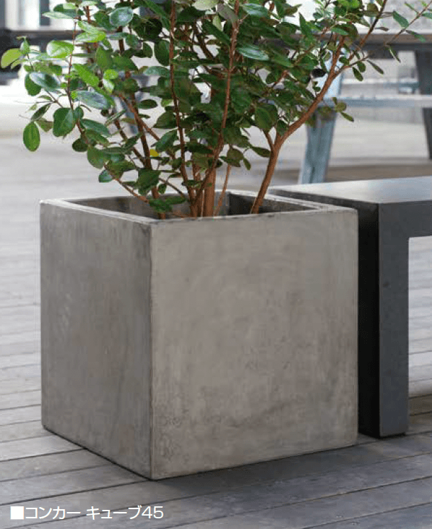 オンリーワンクラブの「コンカー」